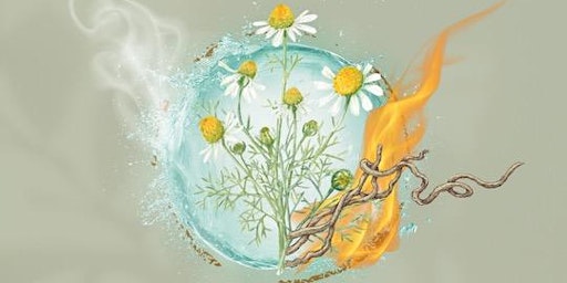 Image principale de Herbal Energetics with Kathryn Hofstetter