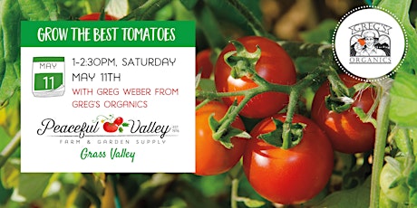 Grow The Best Tomatoes