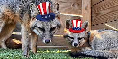 Memorial Day Weekend at the Wildlife Center primary image