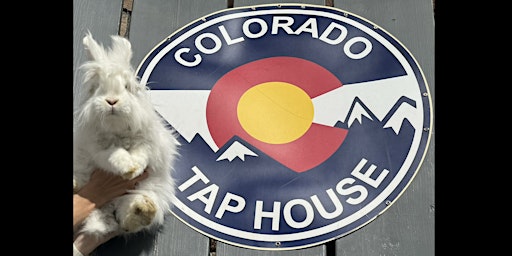 Reading with the Rabbits at the Colorado Tap House