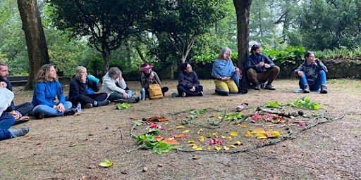 Group Meditation and Dharma Sharing  primärbild