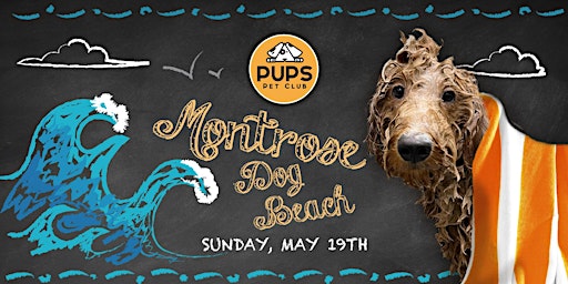 Primaire afbeelding van PUPS Montrose Dog Beach Meet-up!
