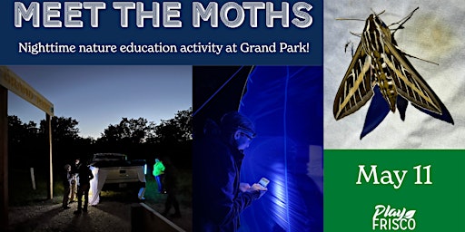 Imagem principal do evento Meet the Moths
