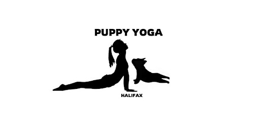 Halifax Puppy Yoga primary image