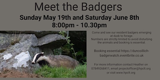 Imagem principal do evento Meet the Badgers