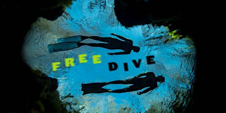 FREEDIVE: An Intro to Freediving Workshop