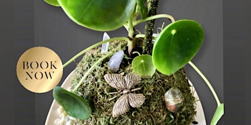 Primaire afbeelding van Modern Kokedama Moss Plant Ball Workshop