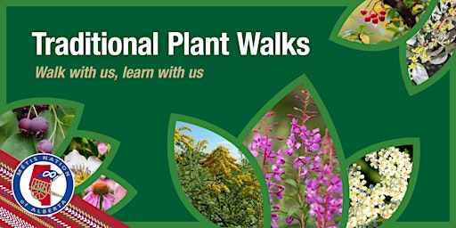 Hauptbild für Traditional Plant Walks: Calgary
