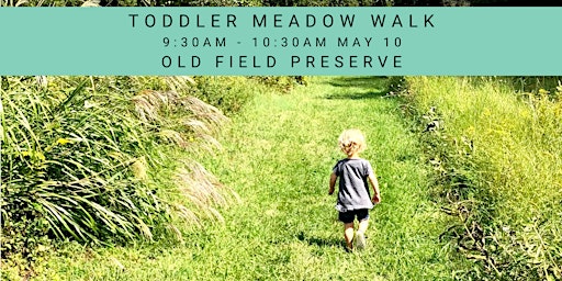 Toddler Meadow Walk