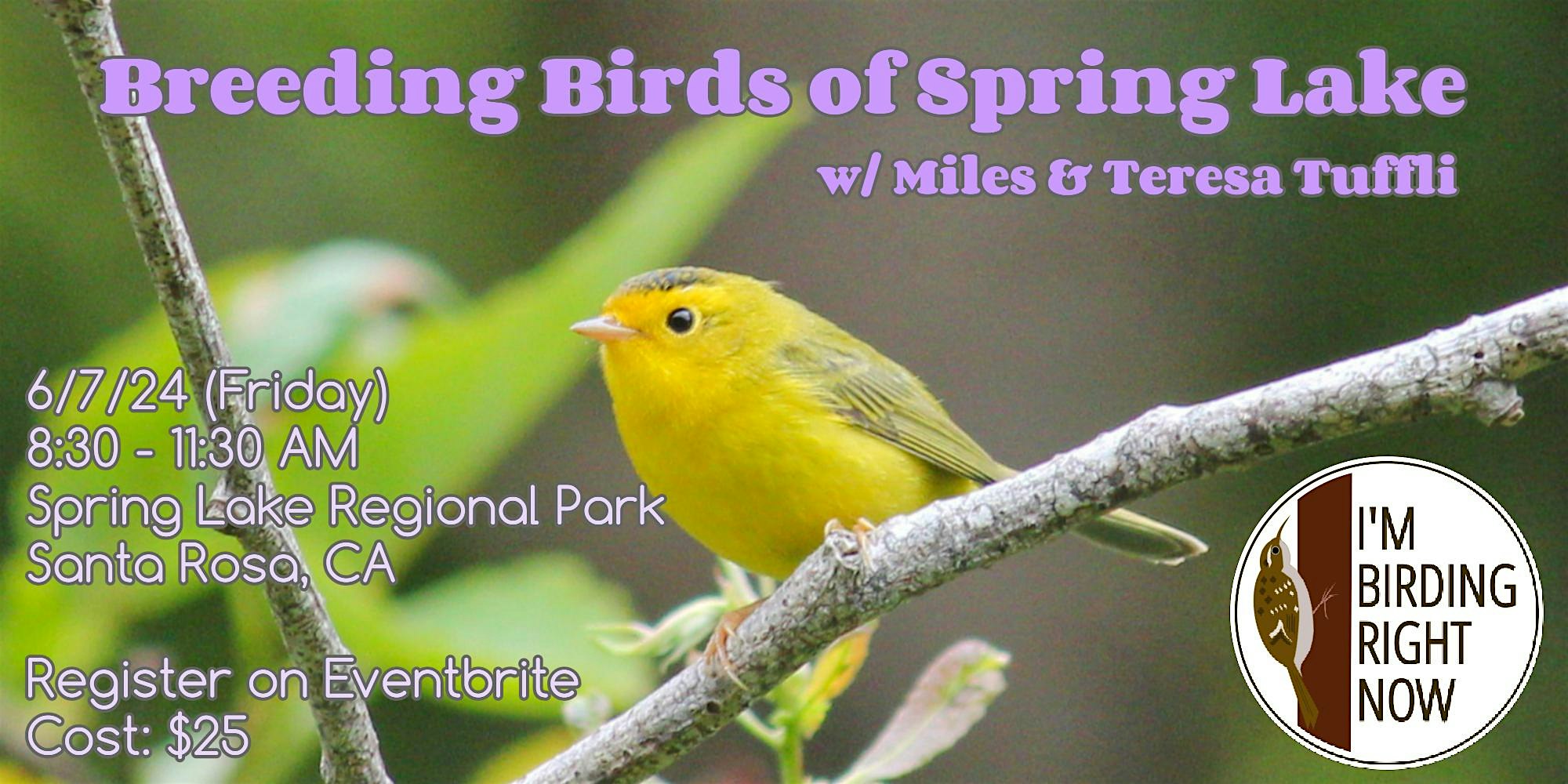 Breeding Birds of Spring Lake