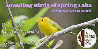 Breeding Birds of Spring Lake primary image