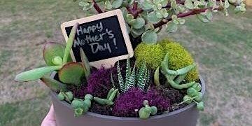 Immagine principale di Mother's Day Succulent Tabletop Garden Class 