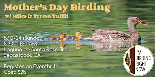 Mother's Day Birding primary image