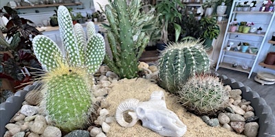 Southwest Cactus Terrarium