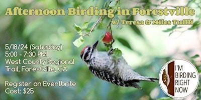 Hauptbild für Afternoon Birding in Forestville