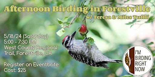 Afternoon Birding in Forestville primary image