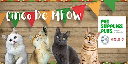 Primaire afbeelding van Cinco De MEOW at Pet Supplies Plus