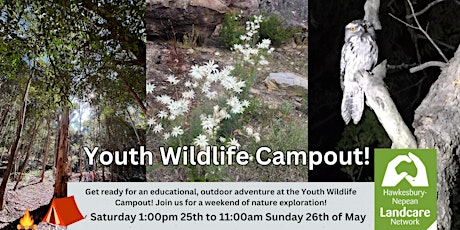 Youth Wildlife Campout