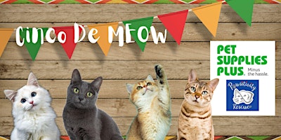 Primaire afbeelding van Cinco De MEOW at Pet Supplies Plus