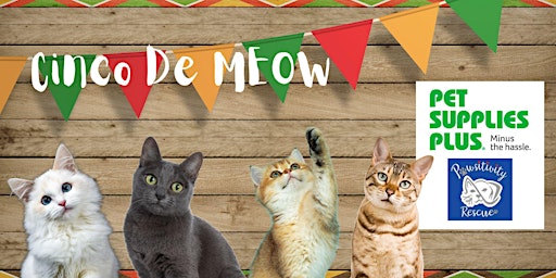 Image principale de Cinco De MEOW at Pet Supplies Plus