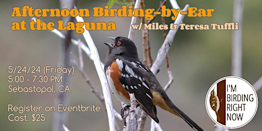 Afternoon Birding-by-Ear at the Laguna primary image