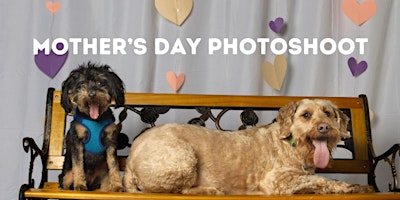 Imagem principal do evento Mother's Day Pet Photoshoot & Fundraiser