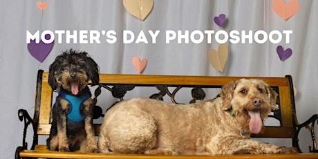 Mother's Day Pet Photoshoot & Fundraiser
