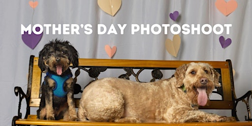 Primaire afbeelding van Mother's Day Pet Photoshoot & Fundraiser