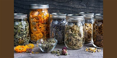 Immagine principale di Dehydrating & Storing Herbs Workshop 