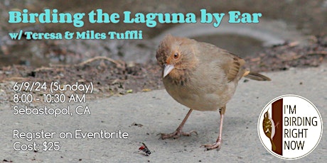 Birding the Laguna by Ear