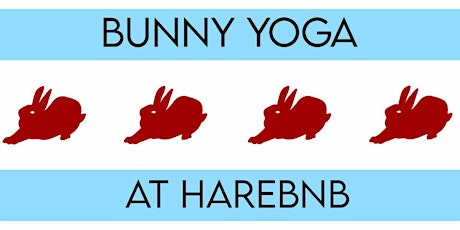 Bunny Yoga at Harebnb