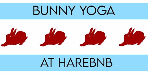Bunny Yoga at Harebnb primary image