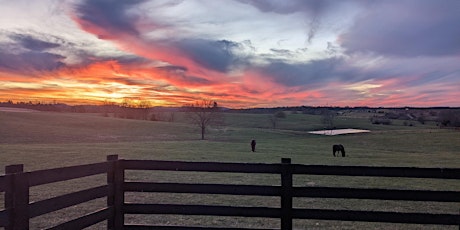 Sunset with the Horses - Womens Wellness Event