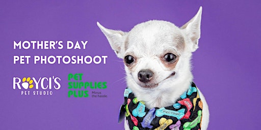 Imagem principal do evento Mother's Day Pet Photoshoot At Pet Supplies Plus