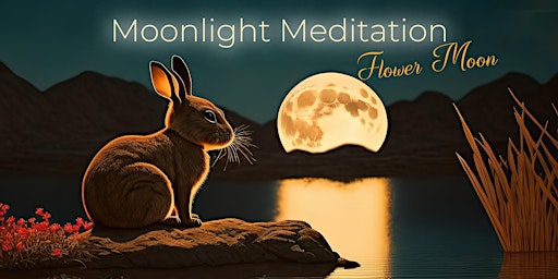 Moonlight Meditation at Harebnb primary image