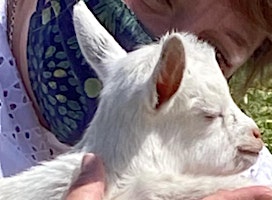 Imagem principal do evento Annual Baby Goat Bottle Feed and Snuggle