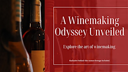 Winemaking Odyssey: An Inside Look