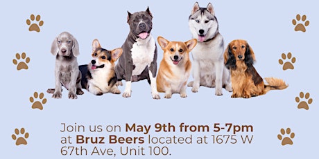 Dog Adoption Event at Bruz Beers