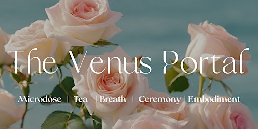 Imagem principal do evento The Venus Portal | SOLSTICE