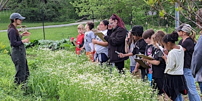 Intergenerational Garden Tour & Tea Tasting with Ashley Hoffman primary image