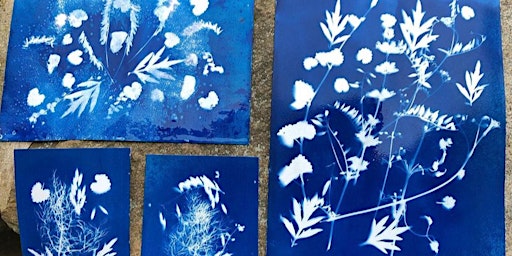 Cyanotypes: Printmaking with Light with Jillian MacMaster [ALL AGES]