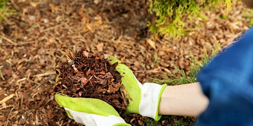 Mulch Day at Hermosa Park! -VOLUNTEERS NEEDED- primary image
