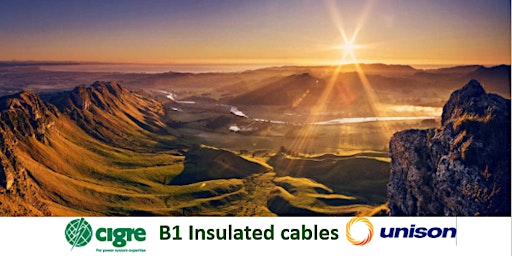 Imagem principal do evento Workshop: NZ B1 Insulated cables