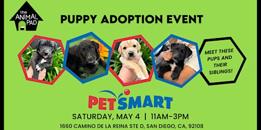 Imagem principal do evento Puppy Adoption Event at PetSmart