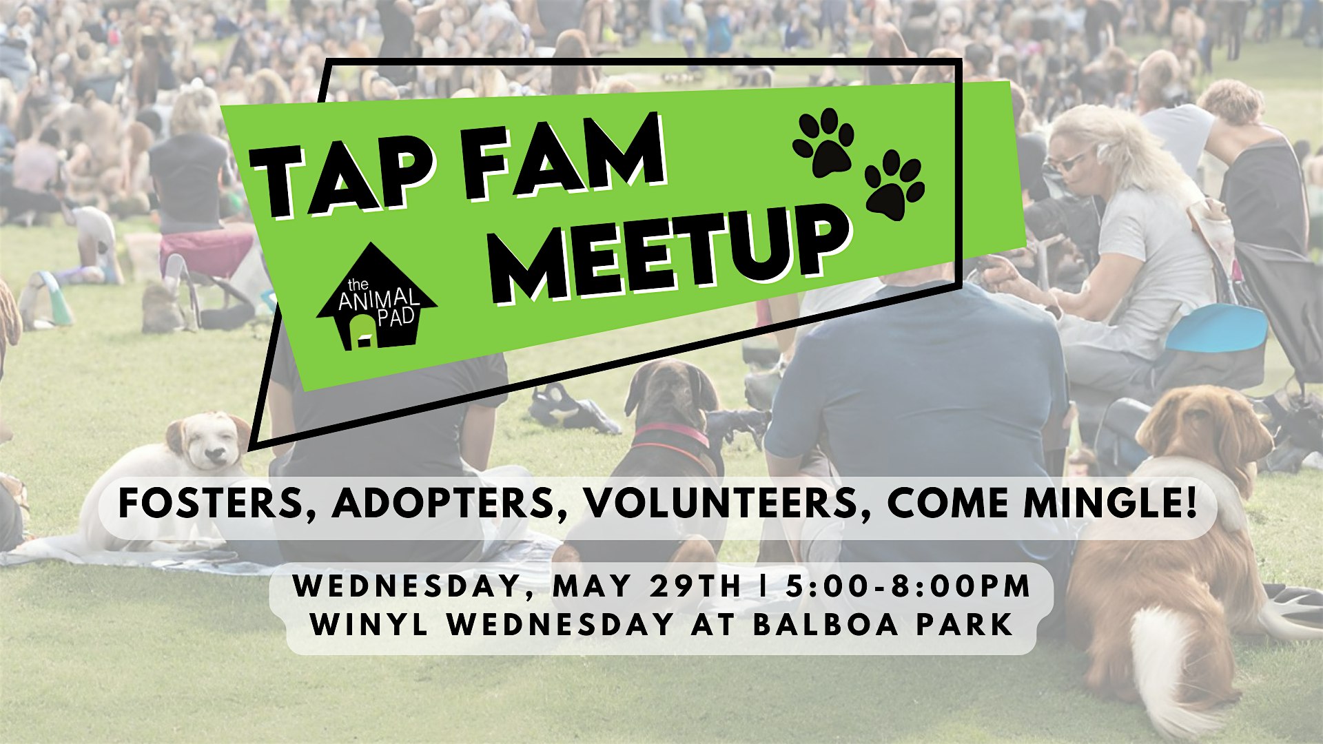 TAP Fam Meetup at Winyl Wednesday