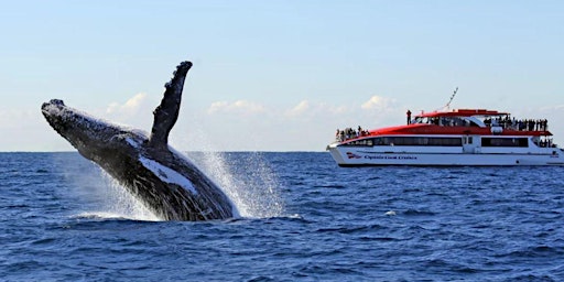 Hauptbild für An ADF National Families Week event-Whale Watching Cruise-Sunday June 2nd