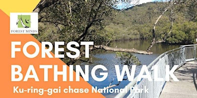 Shinrin-yoku / Forest Bathing Walk | Ku-ring-gai Chase National Park primary image