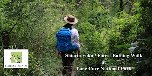 Hauptbild für Shinrin-yoku / Forest Bathing Walk in Sydney