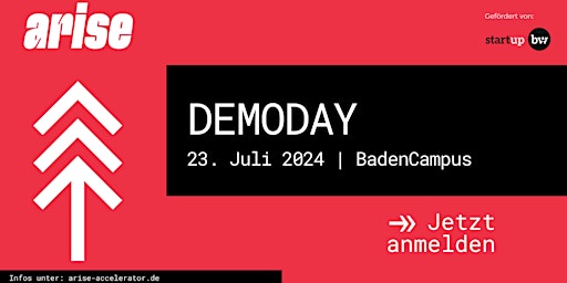 Imagem principal do evento arise Startup DemoDay 2024