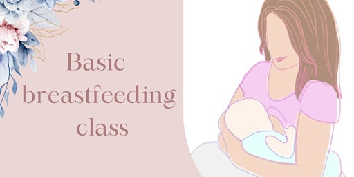 Imagem principal do evento Basic Breastfeeding Class